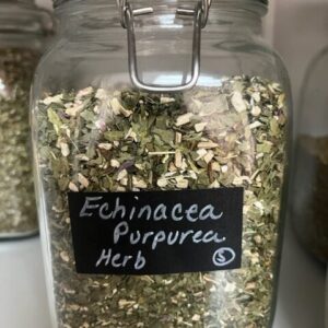Jar labeled Echinacea Purpurea Herb.