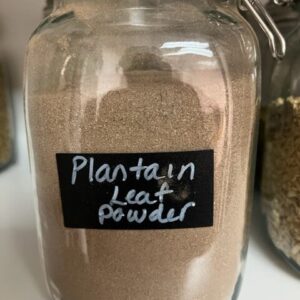 Jar labeled "Plantain Leaf Powder" on shelf.
