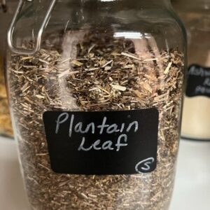 Glass jar with dried plantain leaf inside.